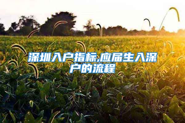 深圳入戶指標,應屆生入深戶的流程