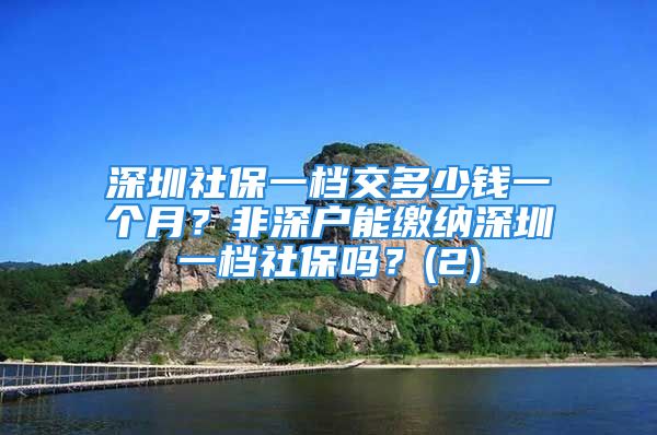 深圳社保一檔交多少錢一個月？非深戶能繳納深圳一檔社保嗎？(2)