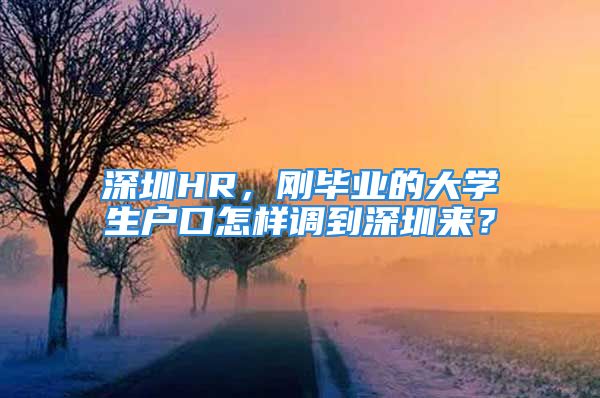 深圳HR，剛畢業(yè)的大學(xué)生戶口怎樣調(diào)到深圳來(lái)？