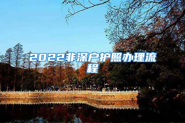 2022非深戶護(hù)照辦理流程