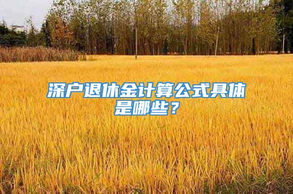 深戶退休金計算公式具體是哪些？