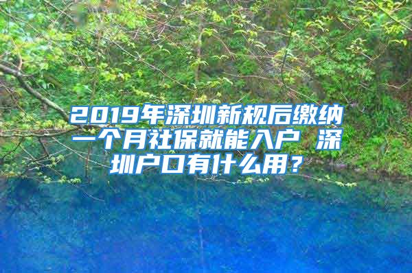 2019年深圳新規(guī)后繳納一個(gè)月社保就能入戶 深圳戶口有什么用？