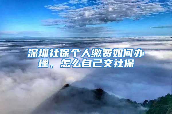 深圳社保個人繳費(fèi)如何辦理，怎么自己交社保