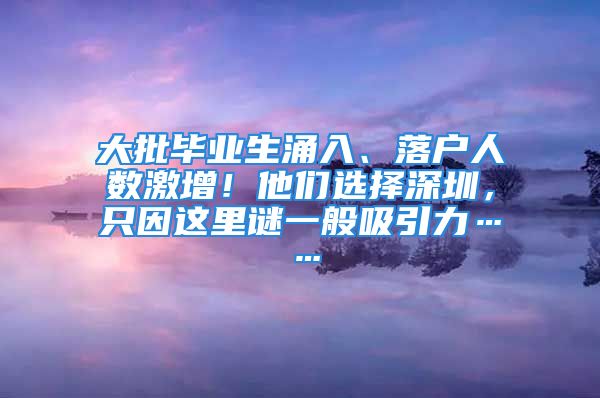 大批畢業(yè)生涌入、落戶人數(shù)激增！他們選擇深圳，只因這里謎一般吸引力……