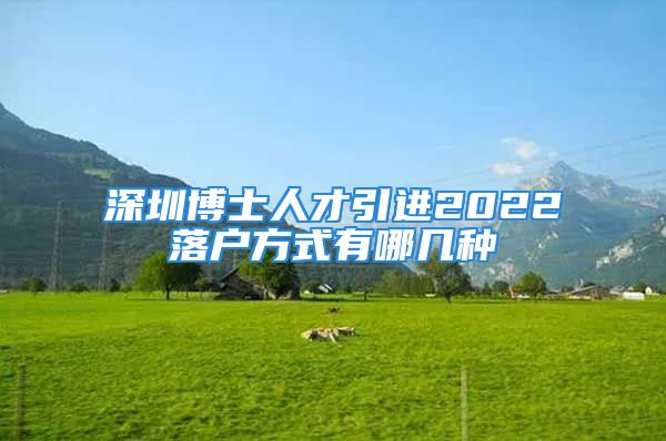 深圳博士人才引進2022落戶方式有哪幾種