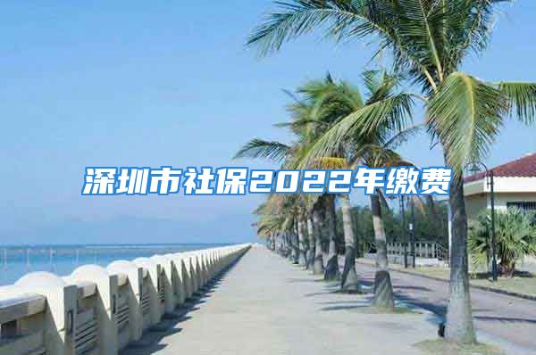 深圳市社保2022年繳費(fèi)