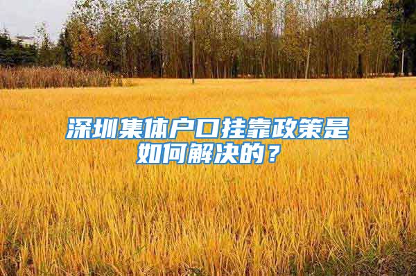 深圳集體戶口掛靠政策是如何解決的？