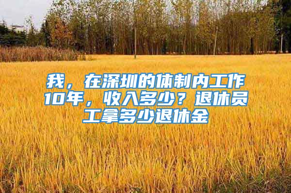 我，在深圳的體制內(nèi)工作10年，收入多少？退休員工拿多少退休金