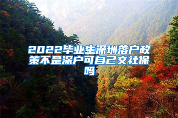 2022畢業(yè)生深圳落戶政策不是深戶可自己交社保嗎