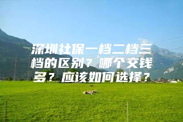 深圳社保一檔二檔三檔的區(qū)別？哪個(gè)交錢(qián)多？應(yīng)該如何選擇？