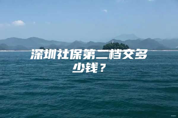 深圳社保第二檔交多少錢？