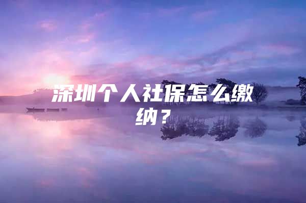 深圳個(gè)人社保怎么繳納？