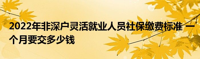 2022年非深戶靈活就業(yè)人員社保繳費標(biāo)準(zhǔn) 一個月要交多少錢