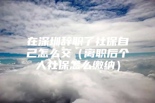 在深圳辭職了社保自己怎么交（離職后個(gè)人社保怎么繳納）