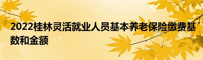 2022桂林靈活就業(yè)人員基本養(yǎng)老保險繳費基數(shù)和金額