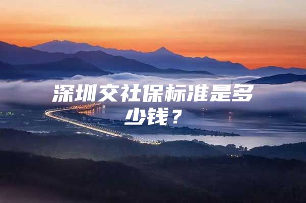 深圳交社保標(biāo)準(zhǔn)是多少錢？