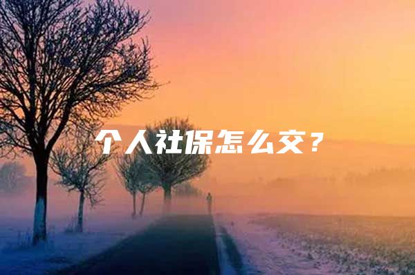 個人社保怎么交？