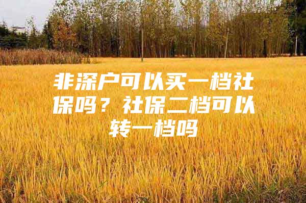 非深戶可以買一檔社保嗎？社保二檔可以轉(zhuǎn)一檔嗎