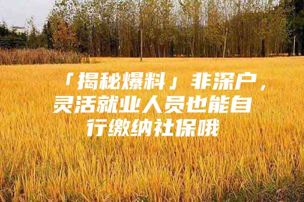 「揭秘爆料」非深戶，靈活就業(yè)人員也能自行繳納社保哦