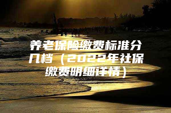 養(yǎng)老保險繳費標準分幾檔（2022年社保繳費明細詳情）