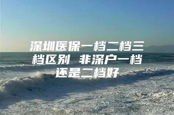 深圳醫(yī)保一檔二檔三檔區(qū)別 非深戶一檔還是二檔好