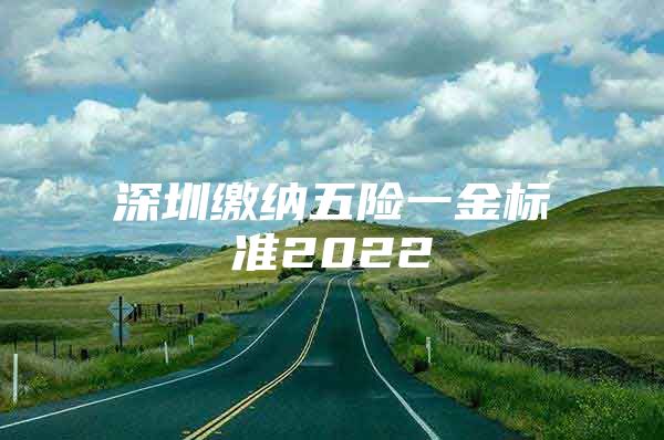 深圳繳納五險(xiǎn)一金標(biāo)準(zhǔn)2022