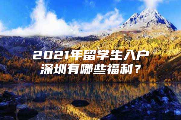 2021年留學(xué)生入戶深圳有哪些福利？