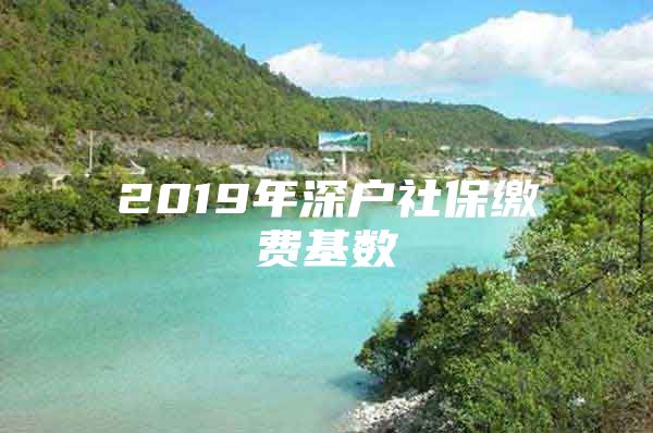 2019年深戶社保繳費基數(shù)