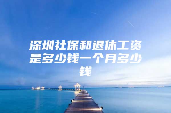 深圳社保和退休工資是多少錢(qián)一個(gè)月多少錢(qián)