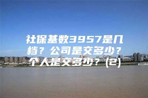 社?；鶖?shù)3957是幾檔？公司是交多少？個(gè)人是交多少？(2)