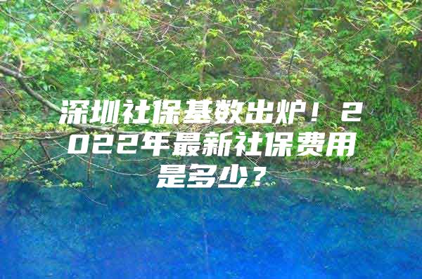 深圳社?；鶖?shù)出爐！2022年最新社保費用是多少？