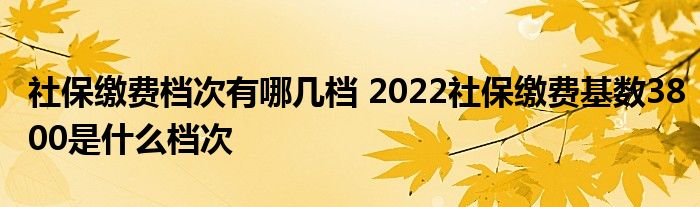 社保繳費檔次有哪幾檔 2022社保繳費基數(shù)3800是什么檔次