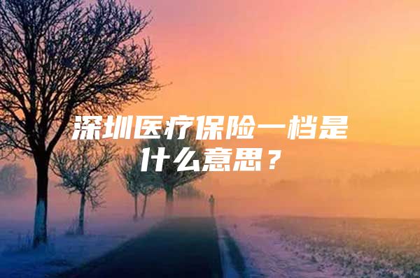 深圳醫(yī)療保險(xiǎn)一檔是什么意思？