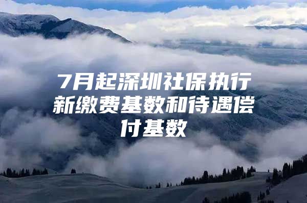 7月起深圳社保執(zhí)行新繳費基數(shù)和待遇償付基數(shù)