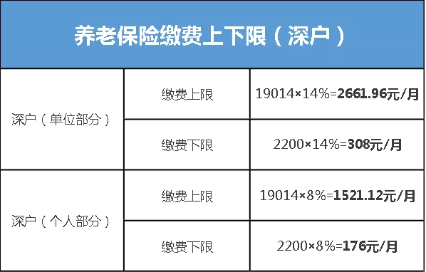 深圳社保各類(lèi)繳費(fèi)明細(xì)詳情