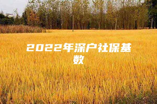 2022年深戶社保基數(shù)