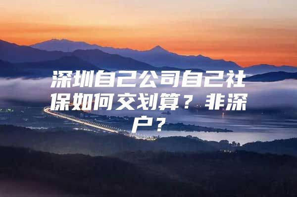 深圳自己公司自己社保如何交劃算？非深戶？