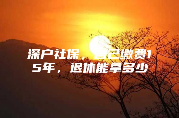 深戶社保，自己繳費15年，退休能拿多少