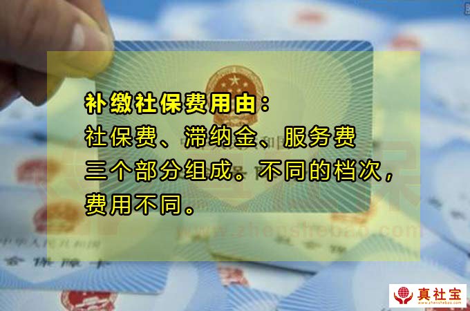 2021年深圳入學報名資格補繳社保辦居住證能用嗎？