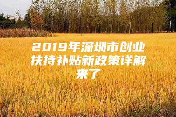 2019年深圳市創(chuàng)業(yè)扶持補貼新政策詳解來了