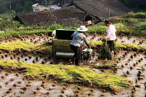 2022年應屆生入戶深圳中介辦理深戶怎么收費