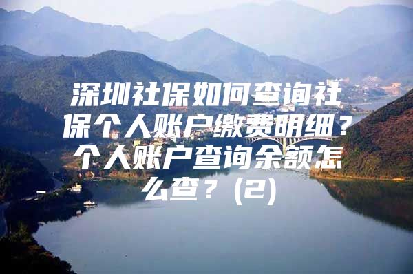 深圳社保如何查詢社保個(gè)人賬戶繳費(fèi)明細(xì)？個(gè)人賬戶查詢余額怎么查？(2)