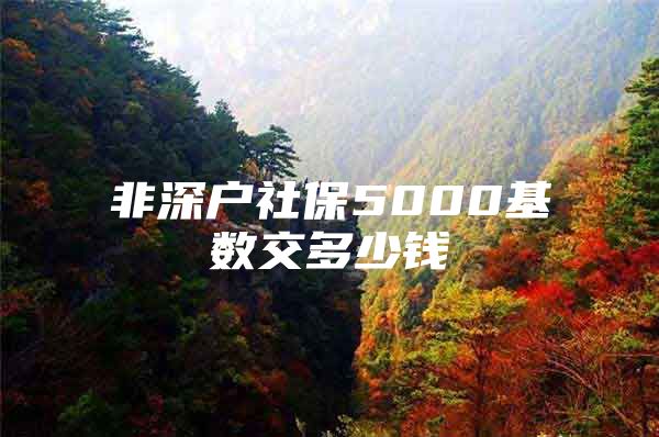 非深戶(hù)社保5000基數(shù)交多少錢(qián)