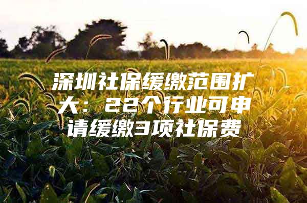 深圳社保緩繳范圍擴大：22個行業(yè)可申請緩繳3項社保費