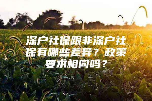 深戶社保跟非深戶社保有哪些差異？政策要求相同嗎？