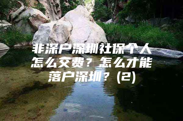 非深戶深圳社保個(gè)人怎么交費(fèi)？怎么才能落戶深圳？(2)