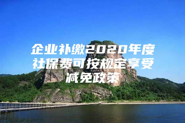 企業(yè)補繳2020年度社保費可按規(guī)定享受減免政策