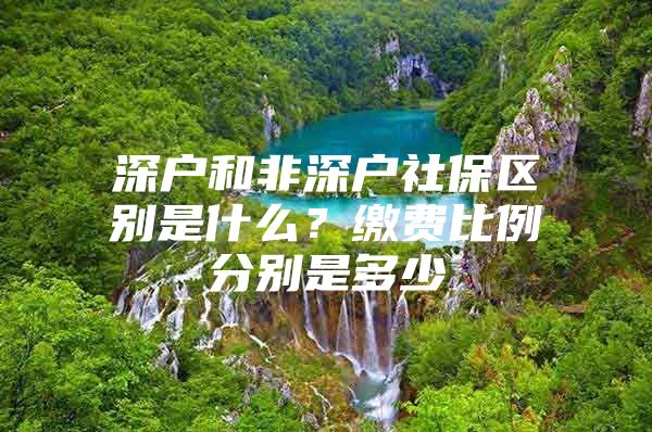 深戶和非深戶社保區(qū)別是什么？繳費比例分別是多少