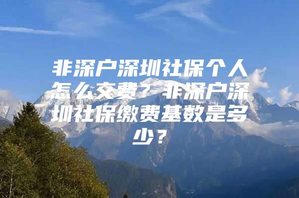 非深戶深圳社保個人怎么交費？非深戶深圳社保繳費基數(shù)是多少？