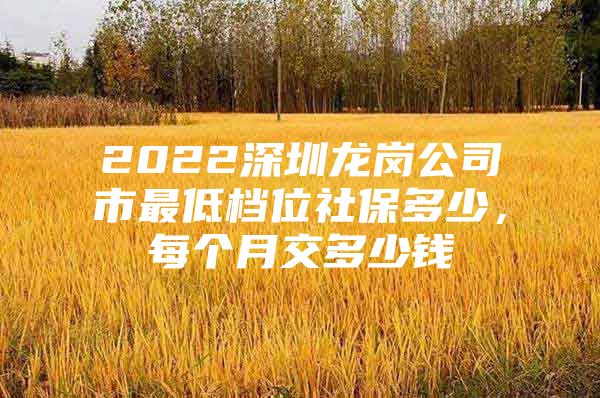 2022深圳龍崗公司市最低檔位社保多少，每個月交多少錢